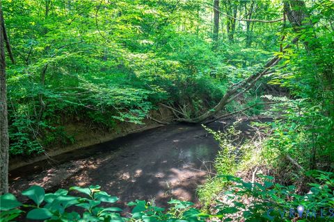 Tiny photo for 0 Chellowe Road, Dillwyn, VA 23936 (MLS # 2617085)