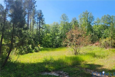 Tiny photo for 0 Chellowe Road, Dillwyn, VA 23936 (MLS # 2617085)