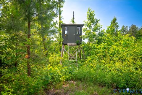 Tiny photo for 0 Chellowe Road, Dillwyn, VA 23936 (MLS # 2617085)