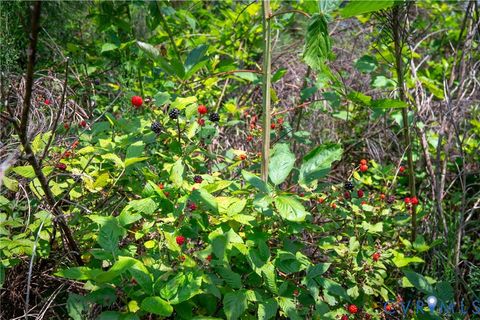 Tiny photo for 0 Chellowe Road, Dillwyn, VA 23936 (MLS # 2617085)