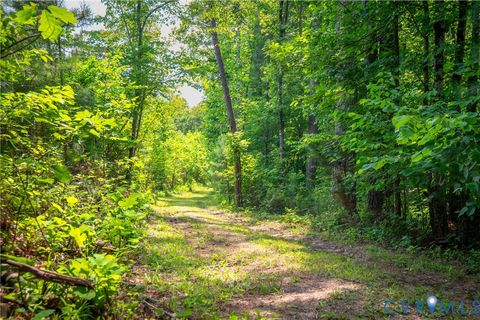 Tiny photo for 0 Chellowe Road, Dillwyn, VA 23936 (MLS # 2617085)