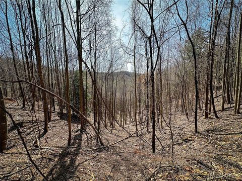 Tiny photo for 180 Acres (Off Of) Willard Creek Lane, Stuart, VA 24171 (MLS # 2508887)