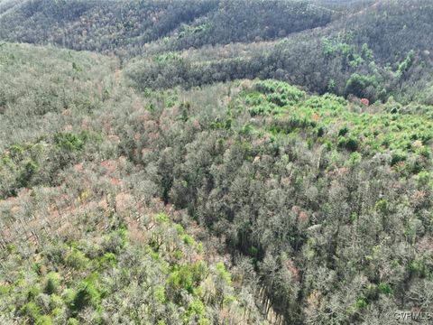 Tiny photo for 180 Acres (Off Of) Willard Creek Lane, Stuart, VA 24171 (MLS # 2508887)