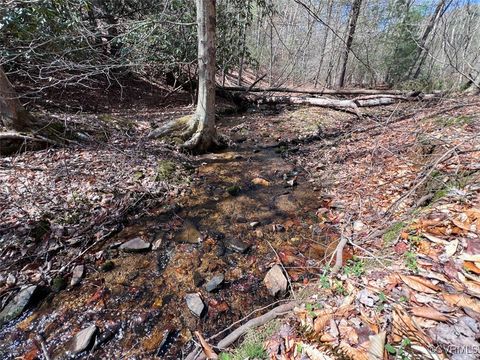 Tiny photo for 180 Acres (Off Of) Willard Creek Lane, Stuart, VA 24171 (MLS # 2508887)