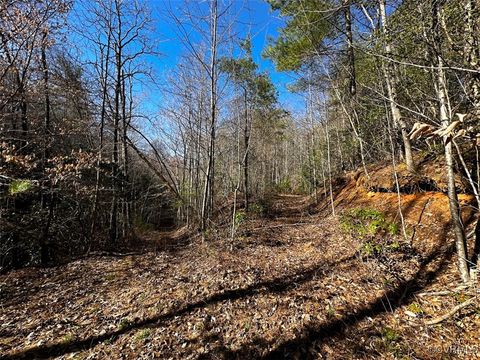 Tiny photo for 180 Acres (Off Of) Willard Creek Lane, Stuart, VA 24171 (MLS # 2508887)