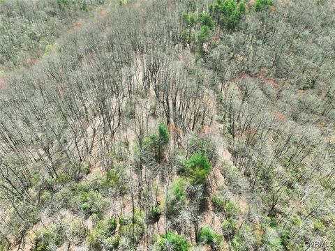 Tiny photo for 180 Acres (Off Of) Willard Creek Lane, Stuart, VA 24171 (MLS # 2508887)