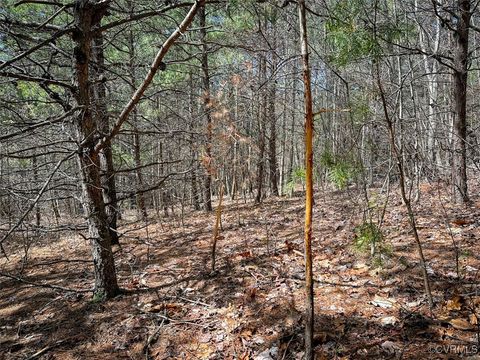 Tiny photo for 180 Acres (Off Of) Willard Creek Lane, Stuart, VA 24171 (MLS # 2508887)