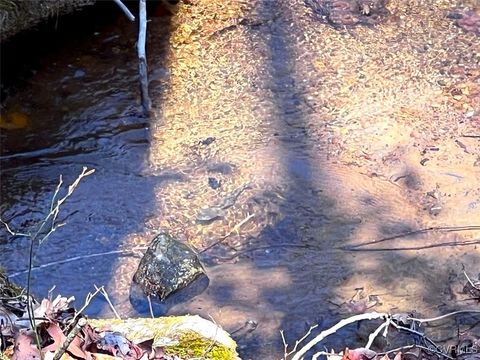 Tiny photo for 180 Acres (Off Of) Willard Creek Lane, Stuart, VA 24171 (MLS # 2508887)