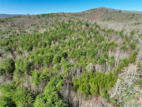 Tiny photo for 180 Acres (Off Of) Willard Creek Lane, Stuart, VA 24171 (MLS # 2508887)