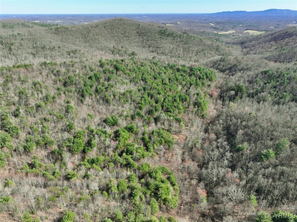 180 Acres (Off Of) Willard Creek Lane