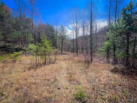 Tiny photo for 180 Acres (Off Of) Willard Creek Lane, Stuart, VA 24171 (MLS # 2508887)