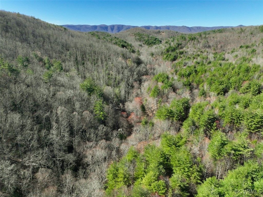 Photo for 180 Acres (Off Of) Willard Creek Lane, Stuart, VA 24171 (MLS # 2508887)
