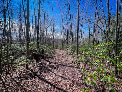 Tiny photo for 180 Acres (Off Of) Willard Creek Lane, Stuart, VA 24171 (MLS # 2508887)