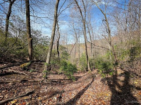 Tiny photo for 180 Acres (Off Of) Willard Creek Lane, Stuart, VA 24171 (MLS # 2508887)