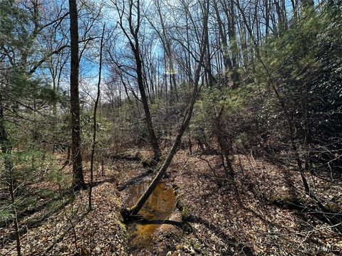 Tiny photo for 180 Acres (Off Of) Willard Creek Lane, Stuart, VA 24171 (MLS # 2508887)