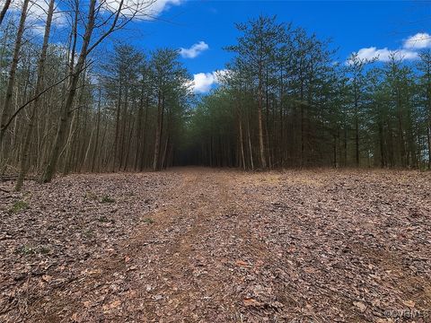 Tiny photo for 180 Acres (Off Of) Willard Creek Lane, Stuart, VA 24171 (MLS # 2508887)