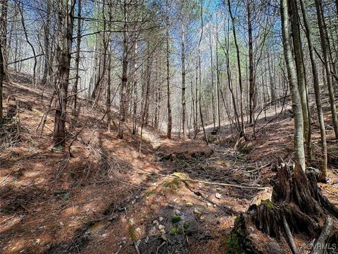 Tiny photo for 180 Acres (Off Of) Willard Creek Lane, Stuart, VA 24171 (MLS # 2508887)