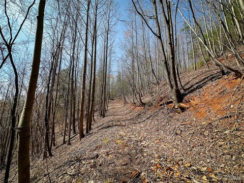 Tiny photo for 180 Acres (Off Of) Willard Creek Lane, Stuart, VA 24171 (MLS # 2508887)