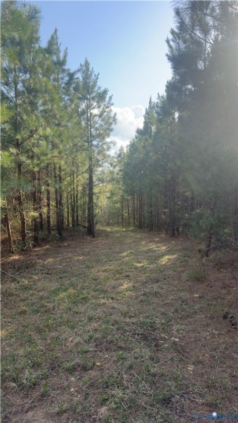 Tiny photo for 0 Loman Road, Meherrin, VA 23954 (MLS # 2612403)