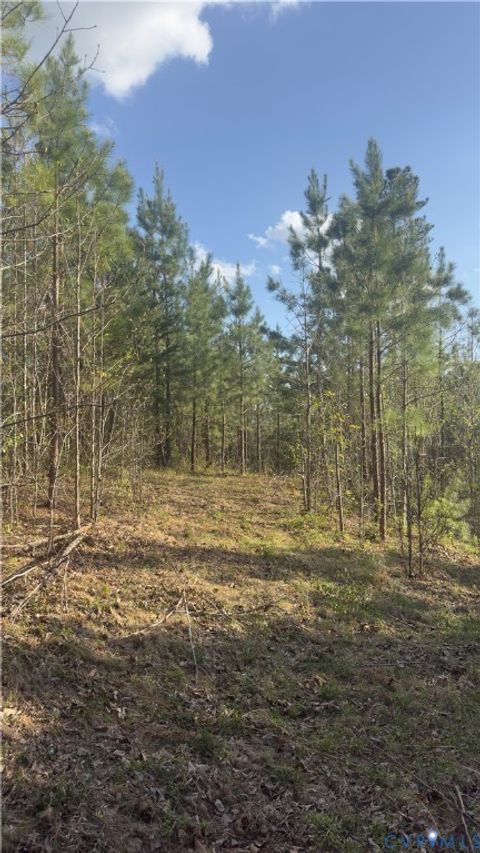 Tiny photo for 0 Loman Road, Meherrin, VA 23954 (MLS # 2612403)