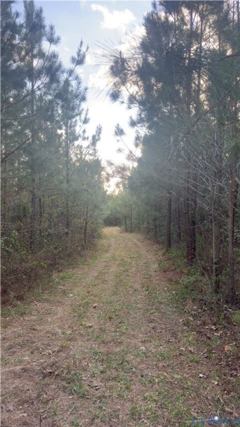 Tiny photo for 0 Loman Road, Meherrin, VA 23954 (MLS # 2612403)
