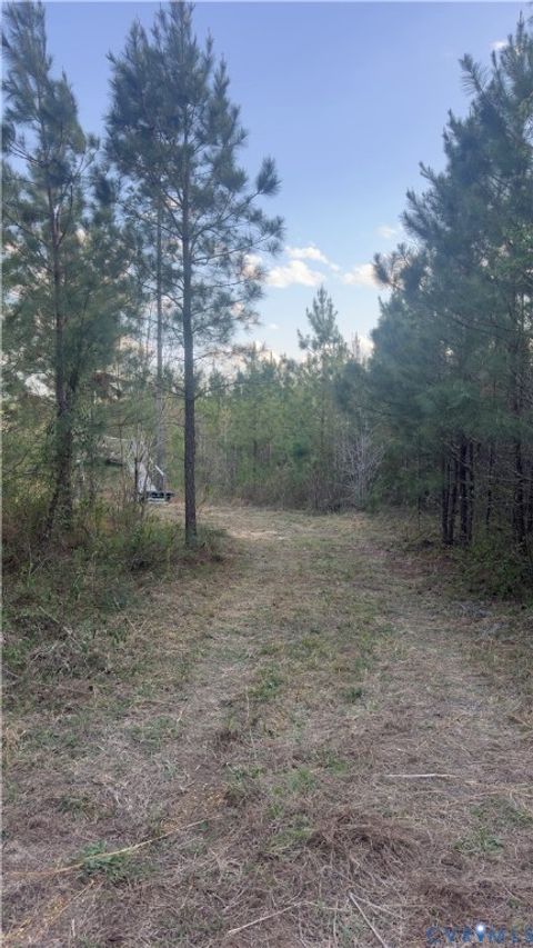 Tiny photo for 0 Loman Road, Meherrin, VA 23954 (MLS # 2612403)