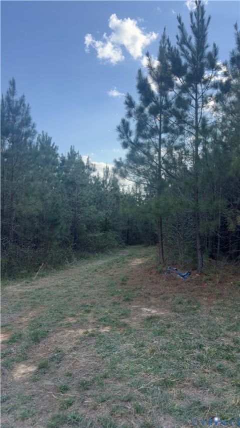 Tiny photo for 0 Loman Road, Meherrin, VA 23954 (MLS # 2612403)