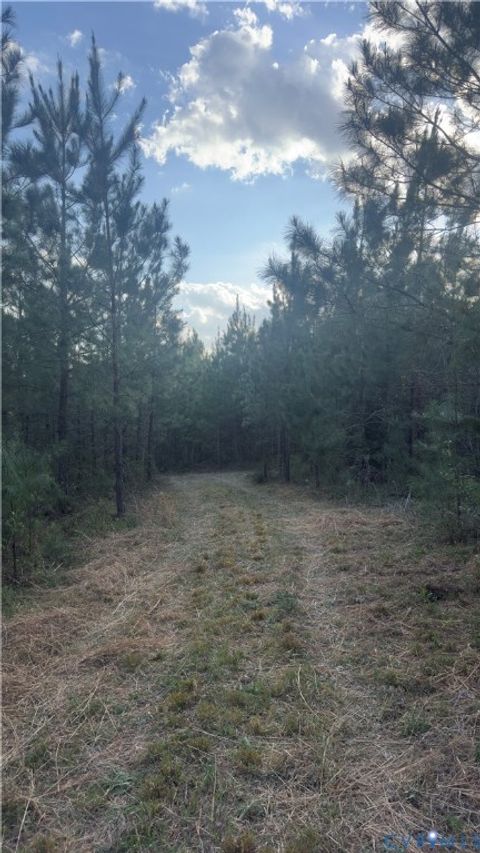 Tiny photo for 0 Loman Road, Meherrin, VA 23954 (MLS # 2612403)
