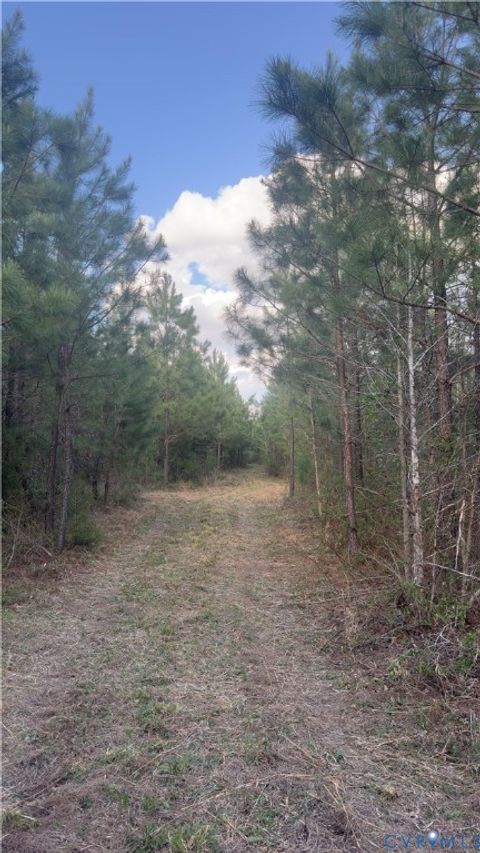 Tiny photo for 0 Loman Road, Meherrin, VA 23954 (MLS # 2612403)