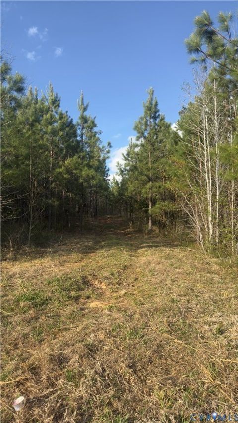 Tiny photo for 0 Loman Road, Meherrin, VA 23954 (MLS # 2612403)