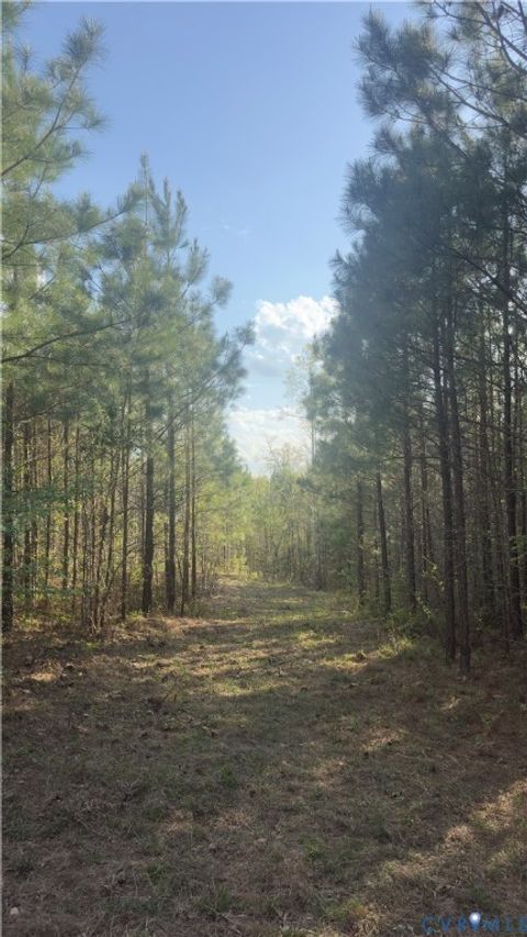 Tiny photo for 0 Loman Road, Meherrin, VA 23954 (MLS # 2612403)
