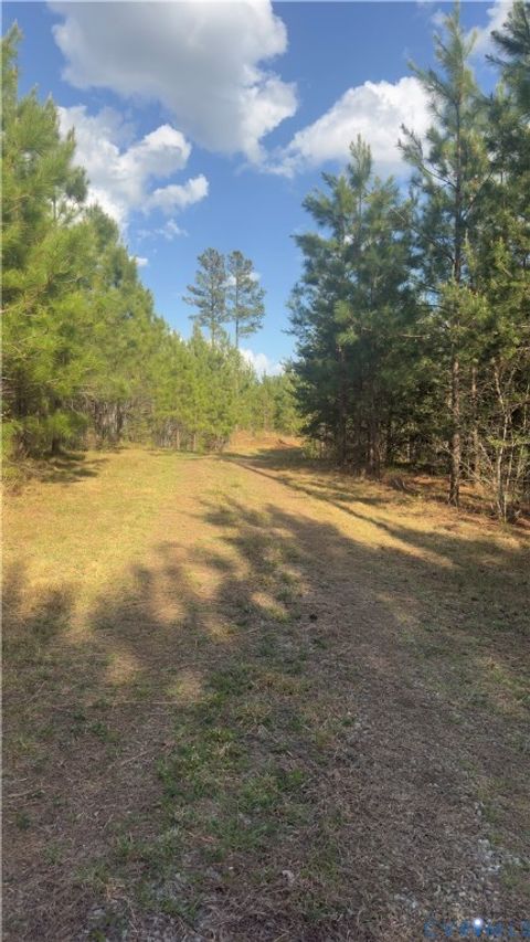 Tiny photo for 0 Loman Road, Meherrin, VA 23954 (MLS # 2612403)