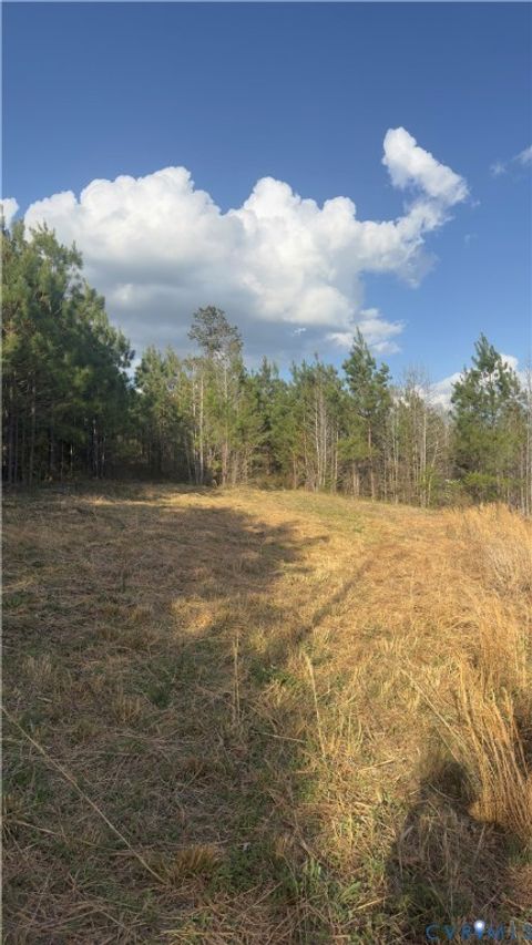 Tiny photo for 0 Loman Road, Meherrin, VA 23954 (MLS # 2612403)
