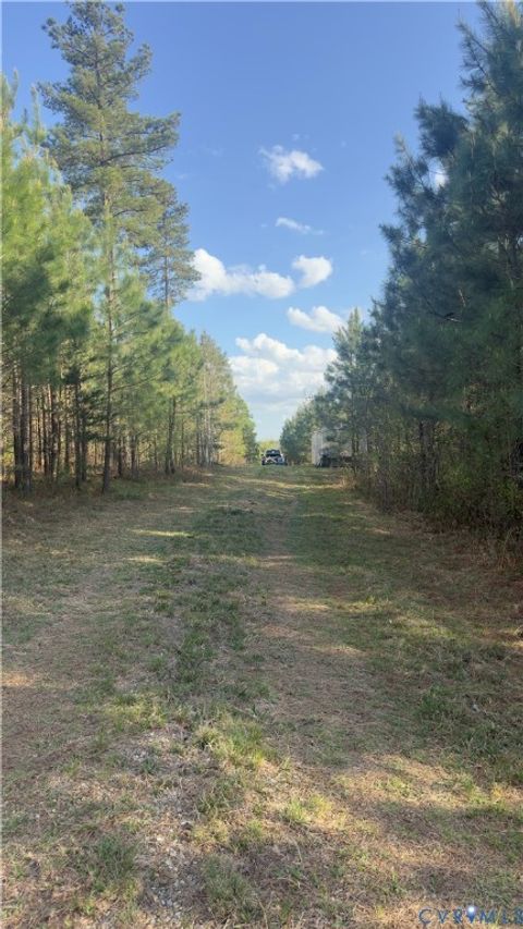Tiny photo for 0 Loman Road, Meherrin, VA 23954 (MLS # 2612403)