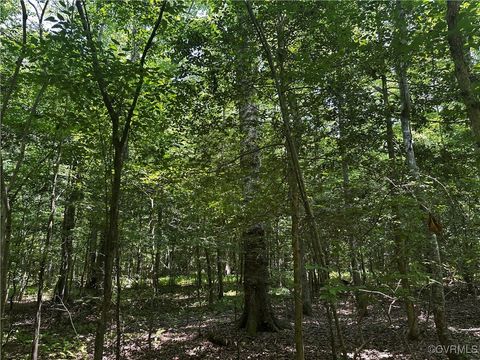 Tiny photo for Parcel B, 000 Buckley Hall Rd, Dutton, VA 23050 (MLS # 2520533)