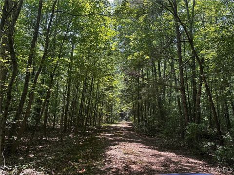 Tiny photo for Parcel B, 000 Buckley Hall Rd, Dutton, VA 23050 (MLS # 2520533)