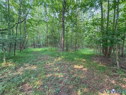 Tiny photo for 6688 Old Buckingham Road, Powhatan, VA 23139 (MLS # 2619373)