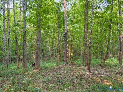 Tiny photo for 6688 Old Buckingham Road, Powhatan, VA 23139 (MLS # 2619373)