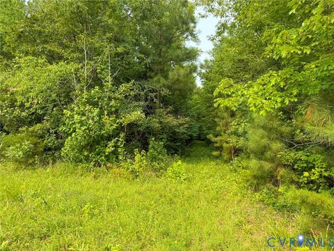Tiny photo for 6688 Old Buckingham Road, Powhatan, VA 23139 (MLS # 2619373)