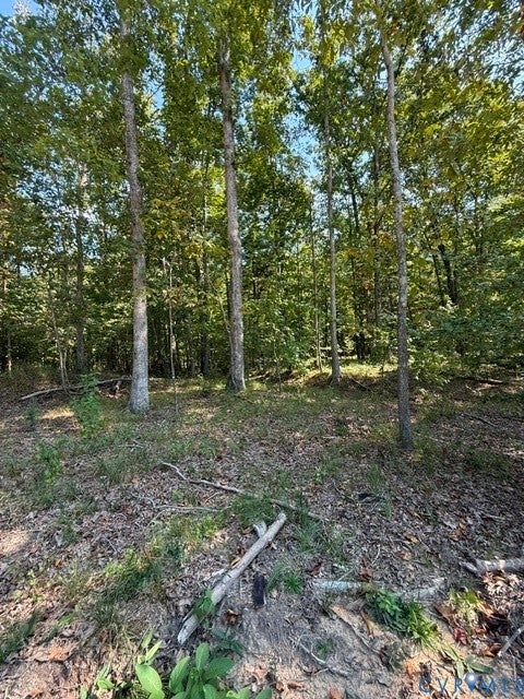Photo of 00 Hidden Springs, Powhatan, VA 23113 (MLS # 2625360)