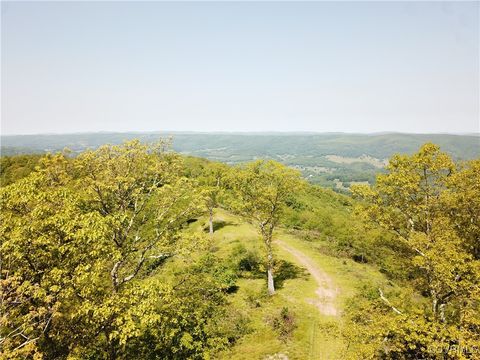 Tiny photo for 00 Jack Mountain Road, Monterey, VA 24465 (MLS # 2517618)
