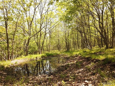Tiny photo for 00 Jack Mountain Road, Monterey, VA 24465 (MLS # 2517618)