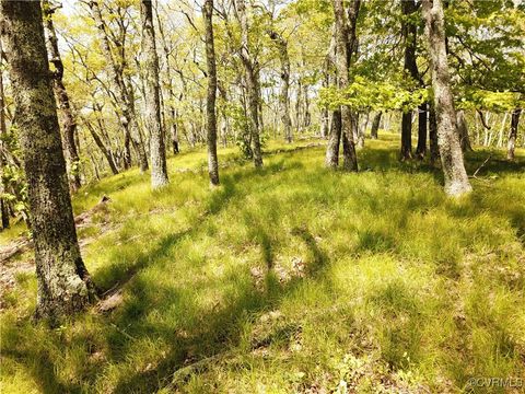 Tiny photo for 00 Jack Mountain Road, Monterey, VA 24465 (MLS # 2517618)
