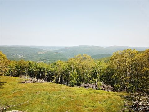 Tiny photo for 00 Jack Mountain Road, Monterey, VA 24465 (MLS # 2517618)