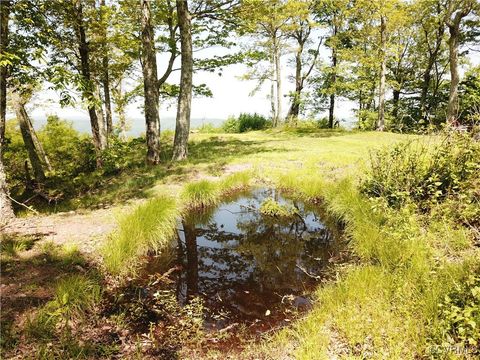 Tiny photo for 00 Jack Mountain Road, Monterey, VA 24465 (MLS # 2517618)