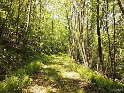 Tiny photo for 00 Jack Mountain Road, Monterey, VA 24465 (MLS # 2517618)