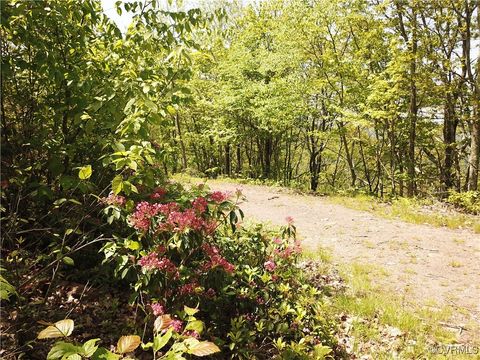 Tiny photo for 00 Jack Mountain Road, Monterey, VA 24465 (MLS # 2517618)