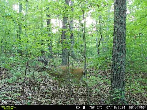 Tiny photo for 1840 Ed Jones Road, Scottsville, VA 24590 (MLS # 2519245)