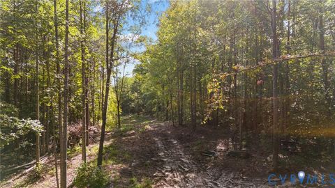 Tiny photo for 0 Davis Mill Road, Goochland, VA 23063 (MLS # 2616475)
