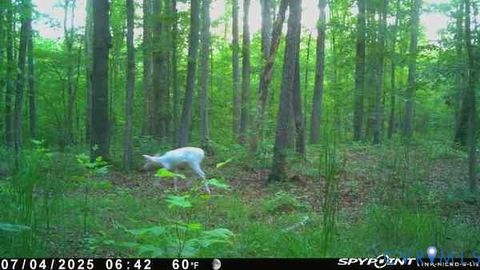Tiny photo for 0 Davis Mill Road, Goochland, VA 23063 (MLS # 2616475)